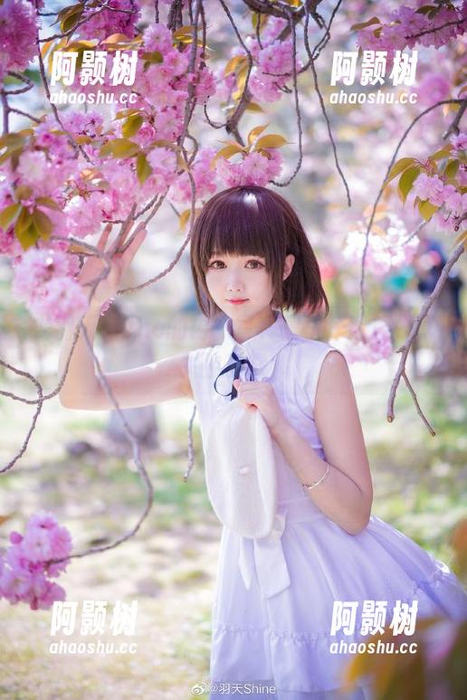 在羽天shine的内衣写真集里，话题分享失控了吧！-阿颢树